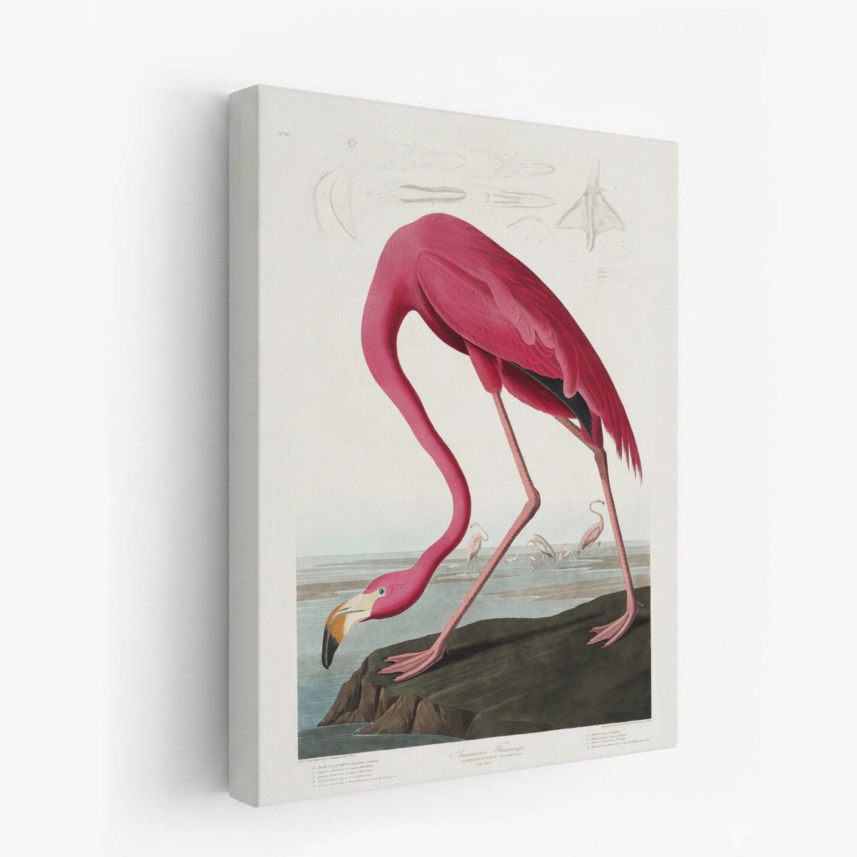 canvas-art