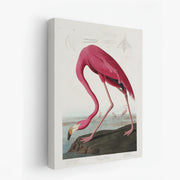 canvas-art