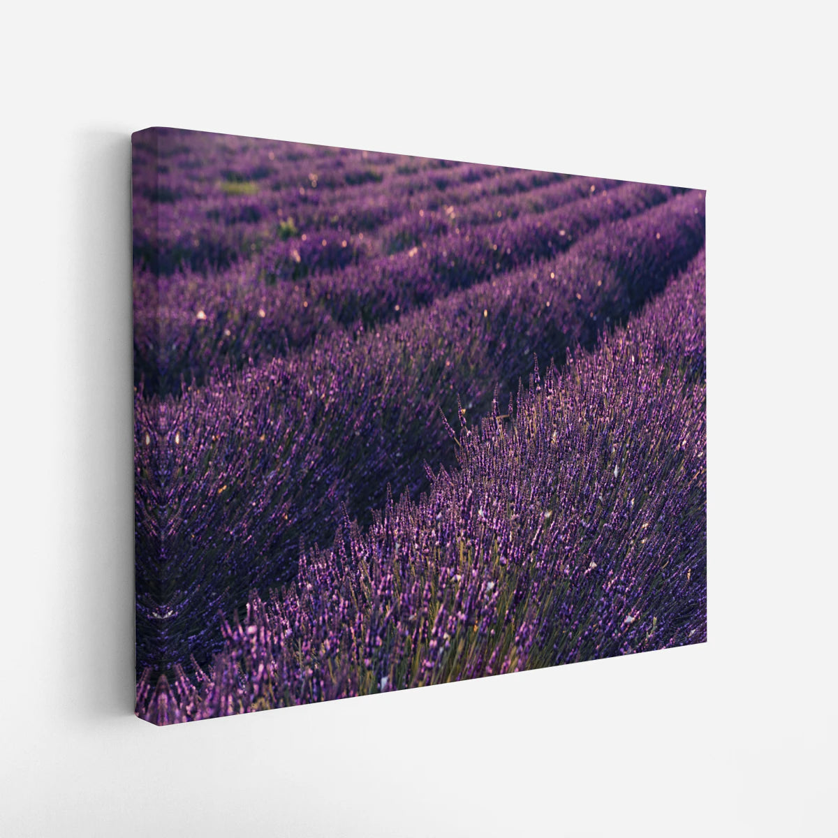 canvas-art
