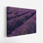 canvas-art