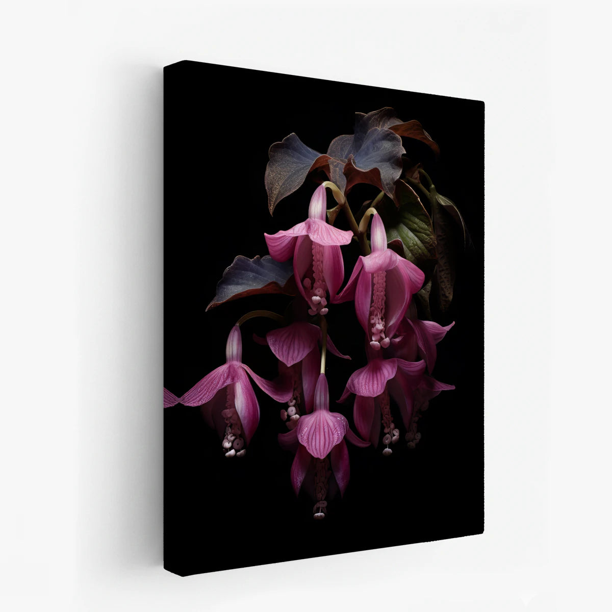 canvas-art