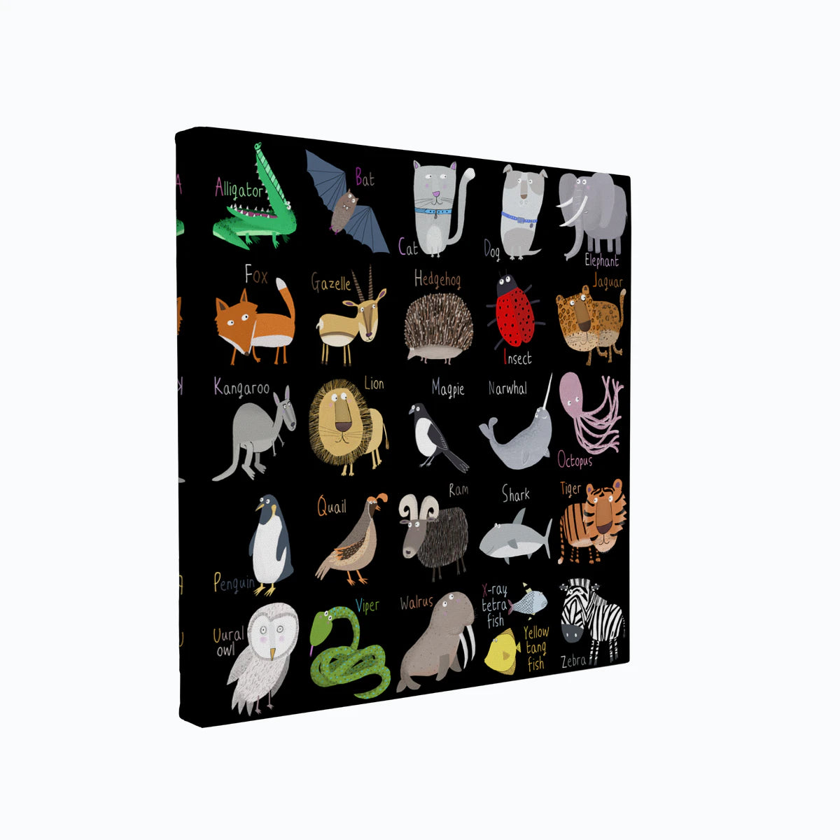 canvas-art