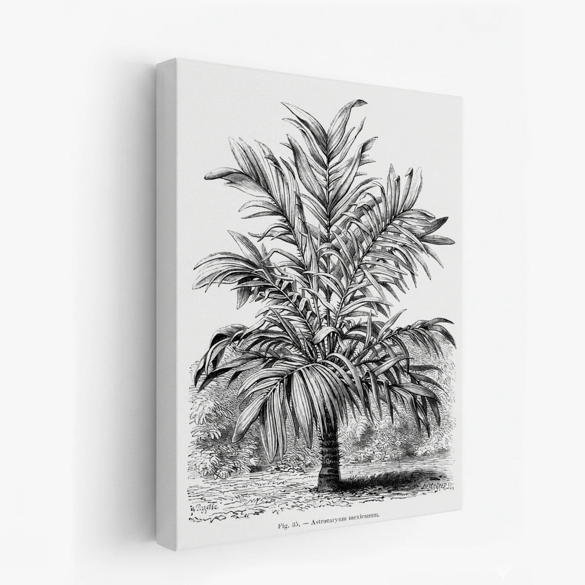 canvas-art