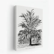 canvas-art