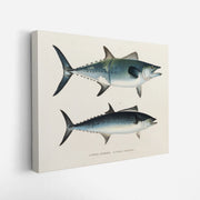 canvas-art