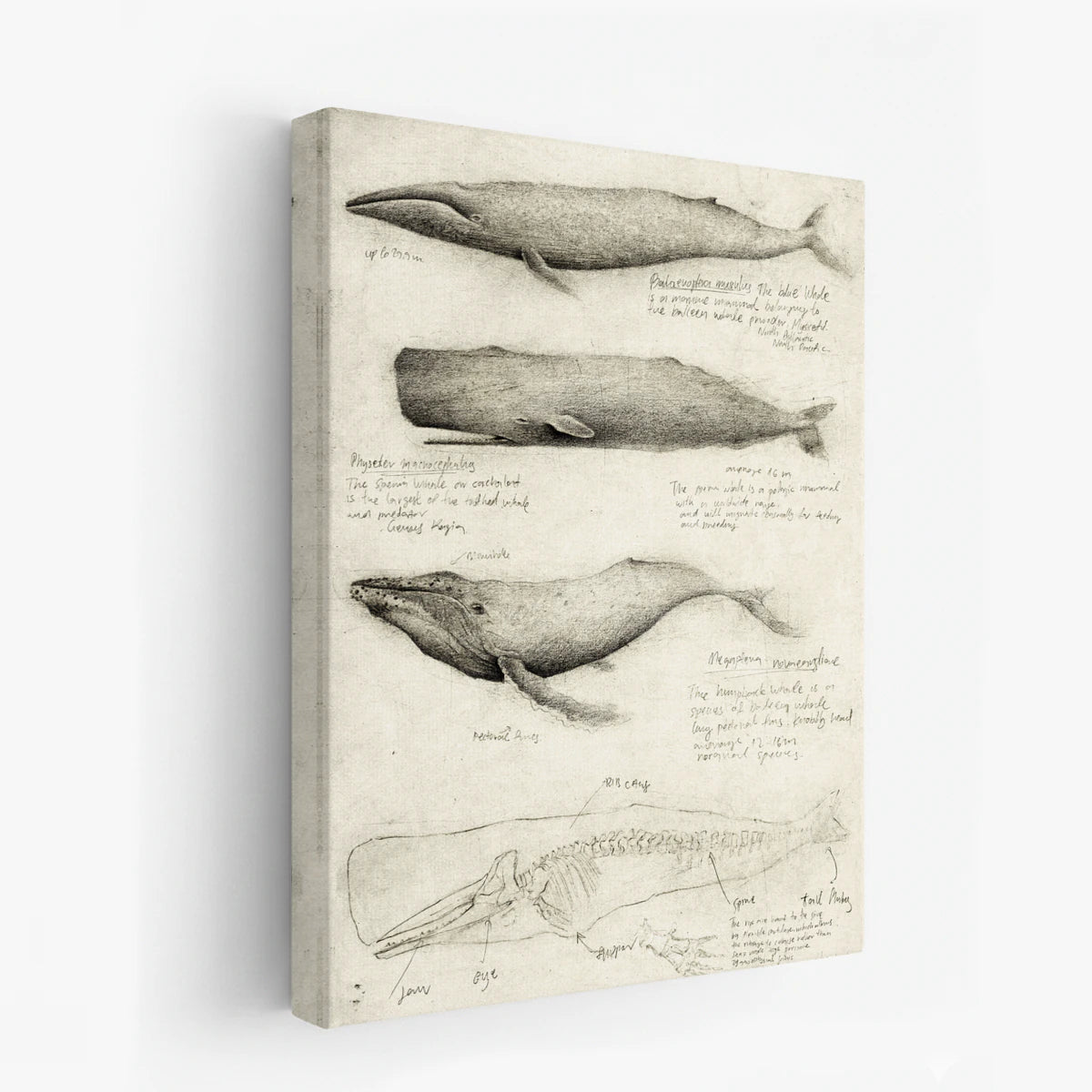 canvas-art