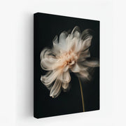 canvas-art