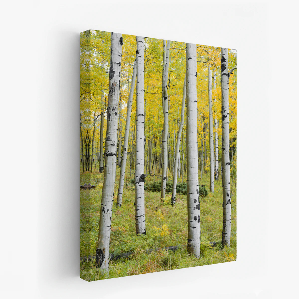 canvas-art