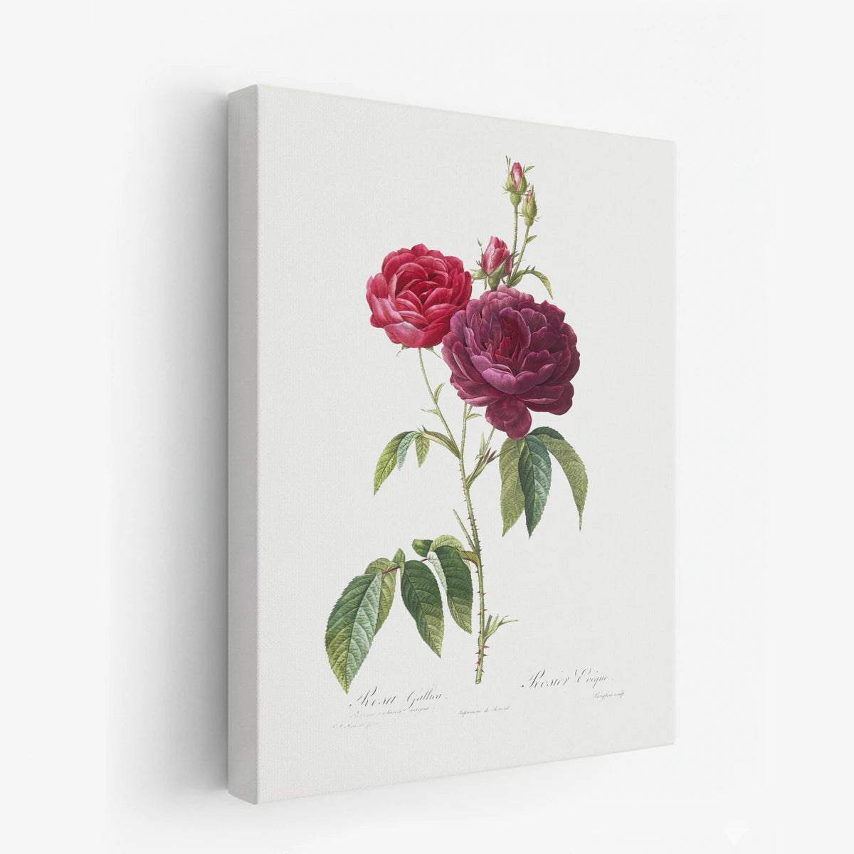 canvas-art