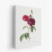 canvas-art