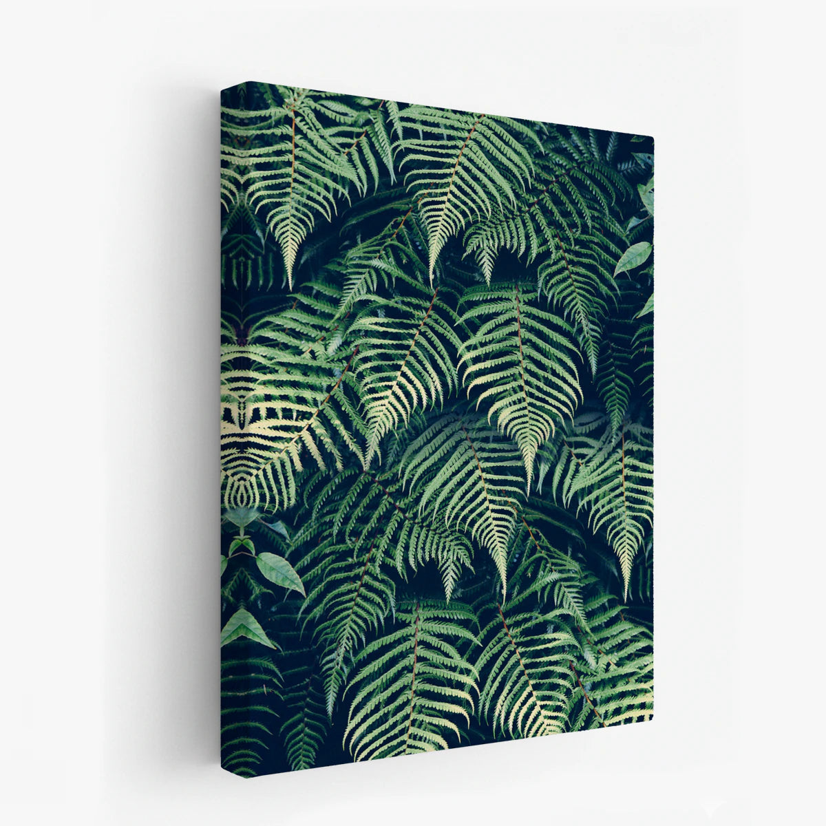 canvas-art
