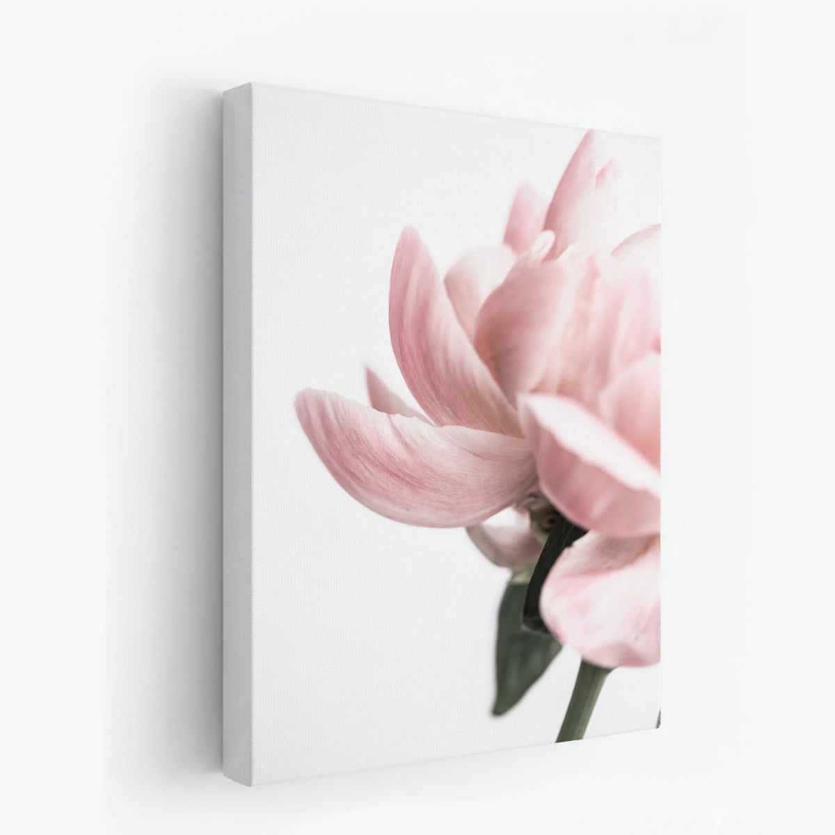 canvas-art