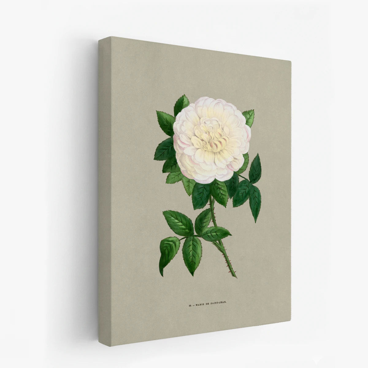 canvas-art