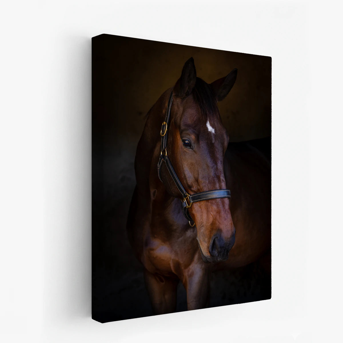 canvas-art