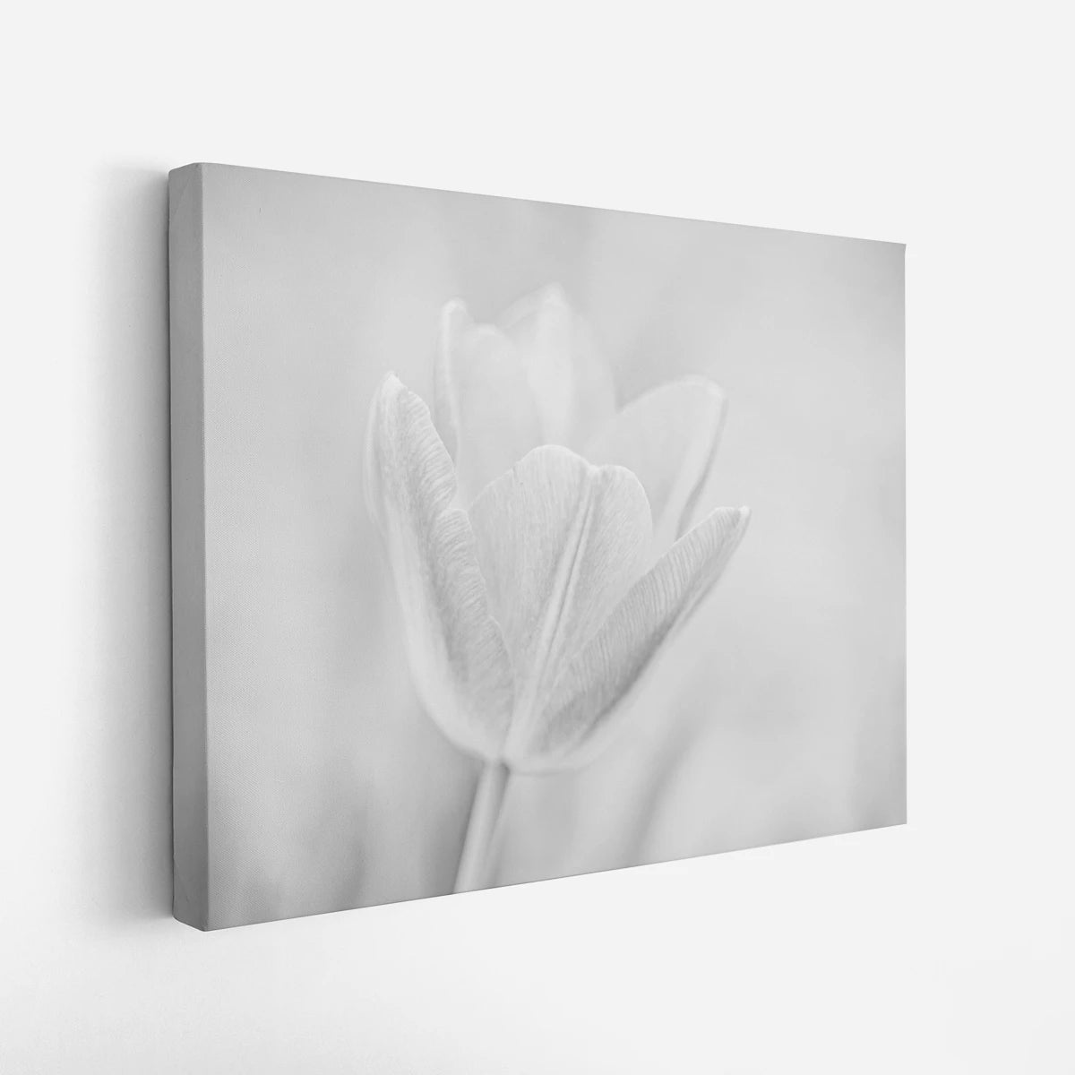 canvas-art