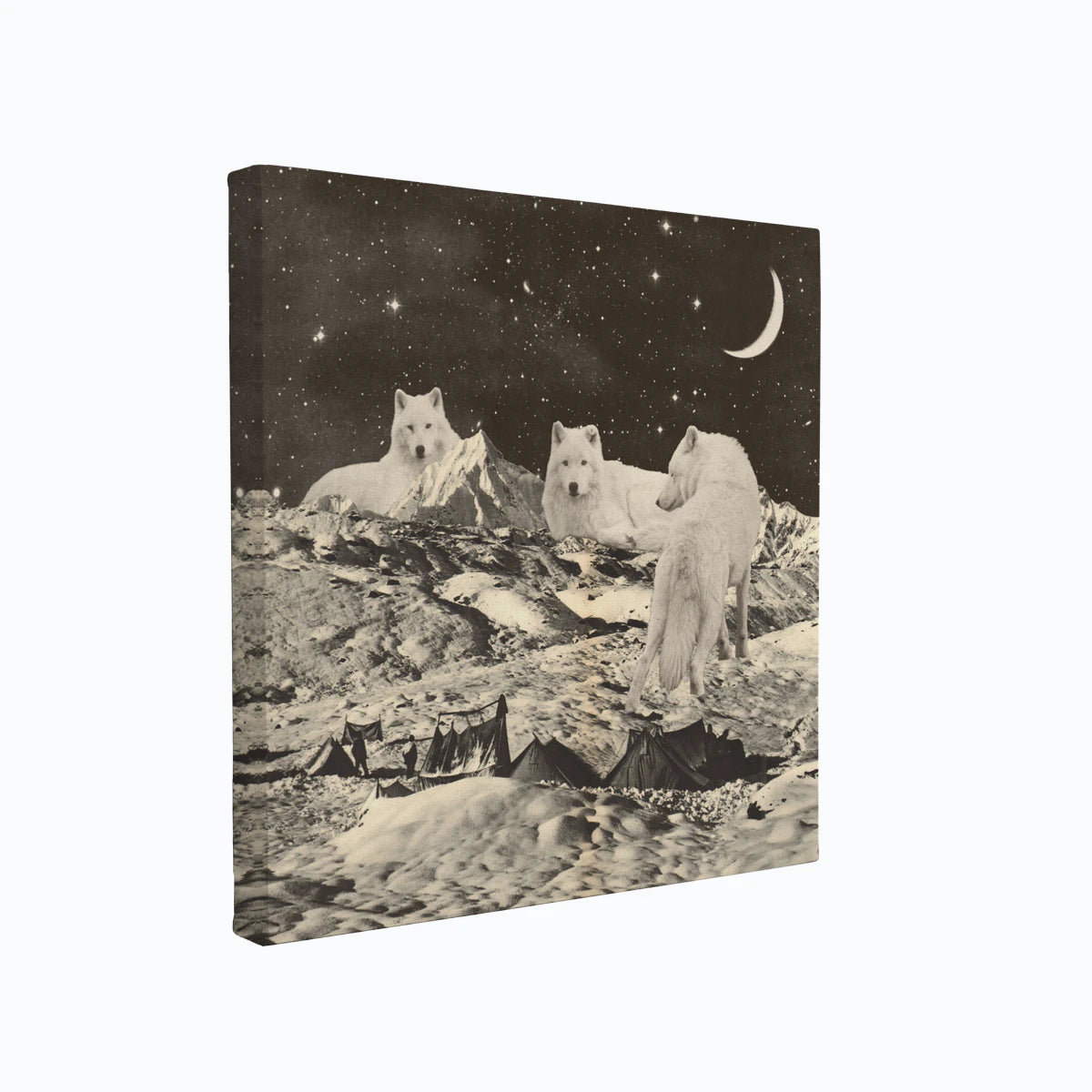 canvas-art