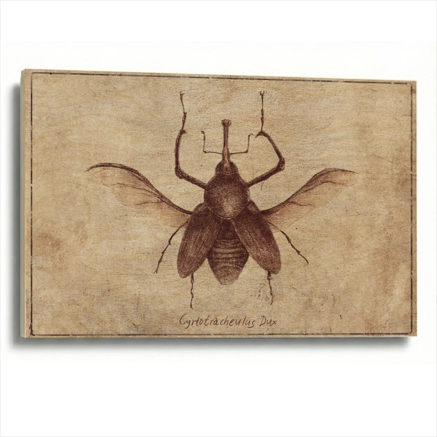 wood
