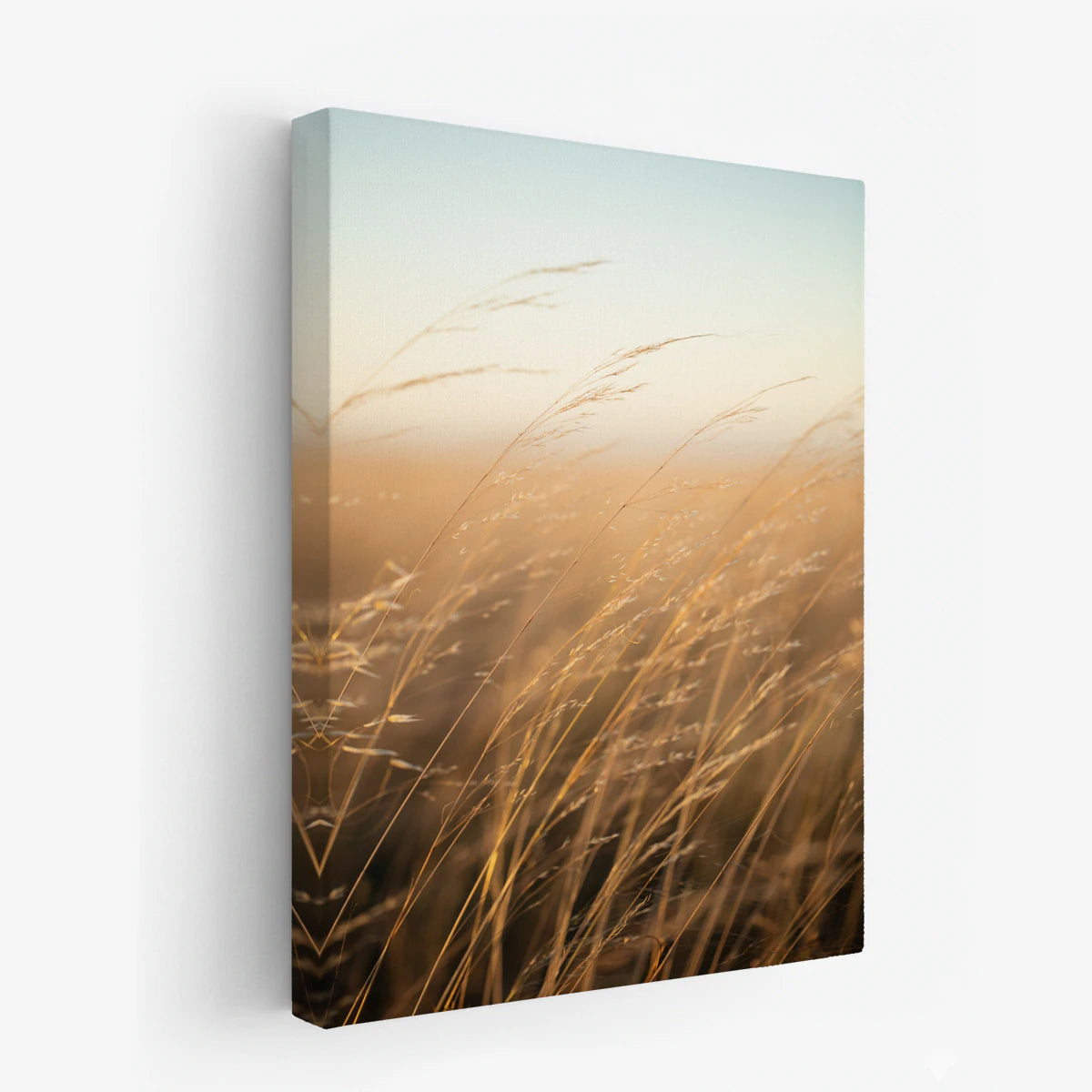 canvas-art