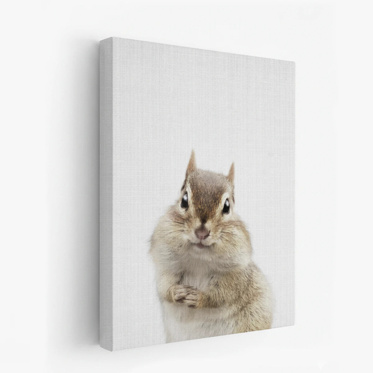 canvas-art