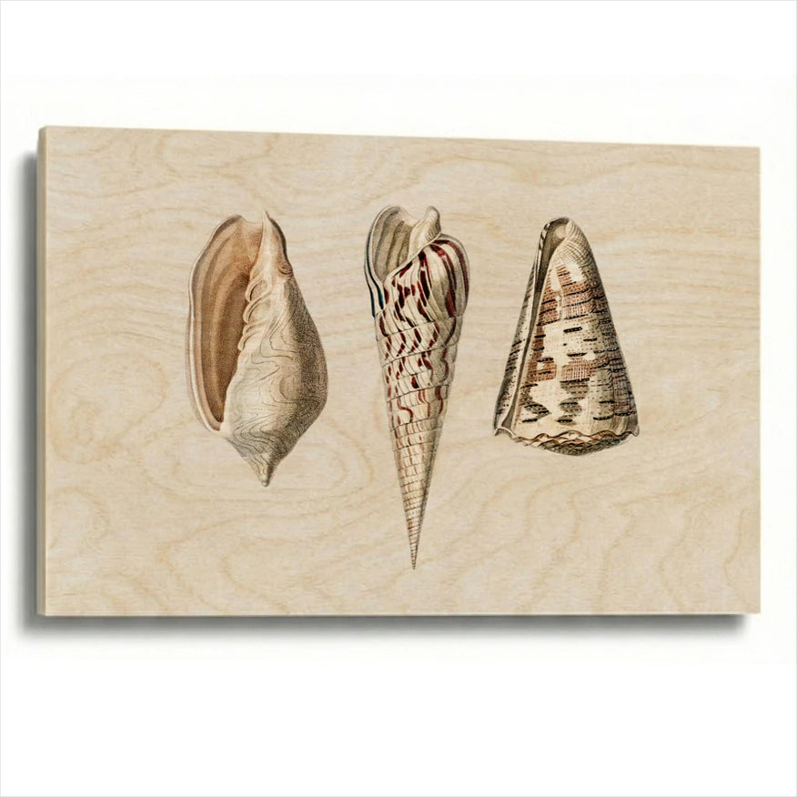 wood