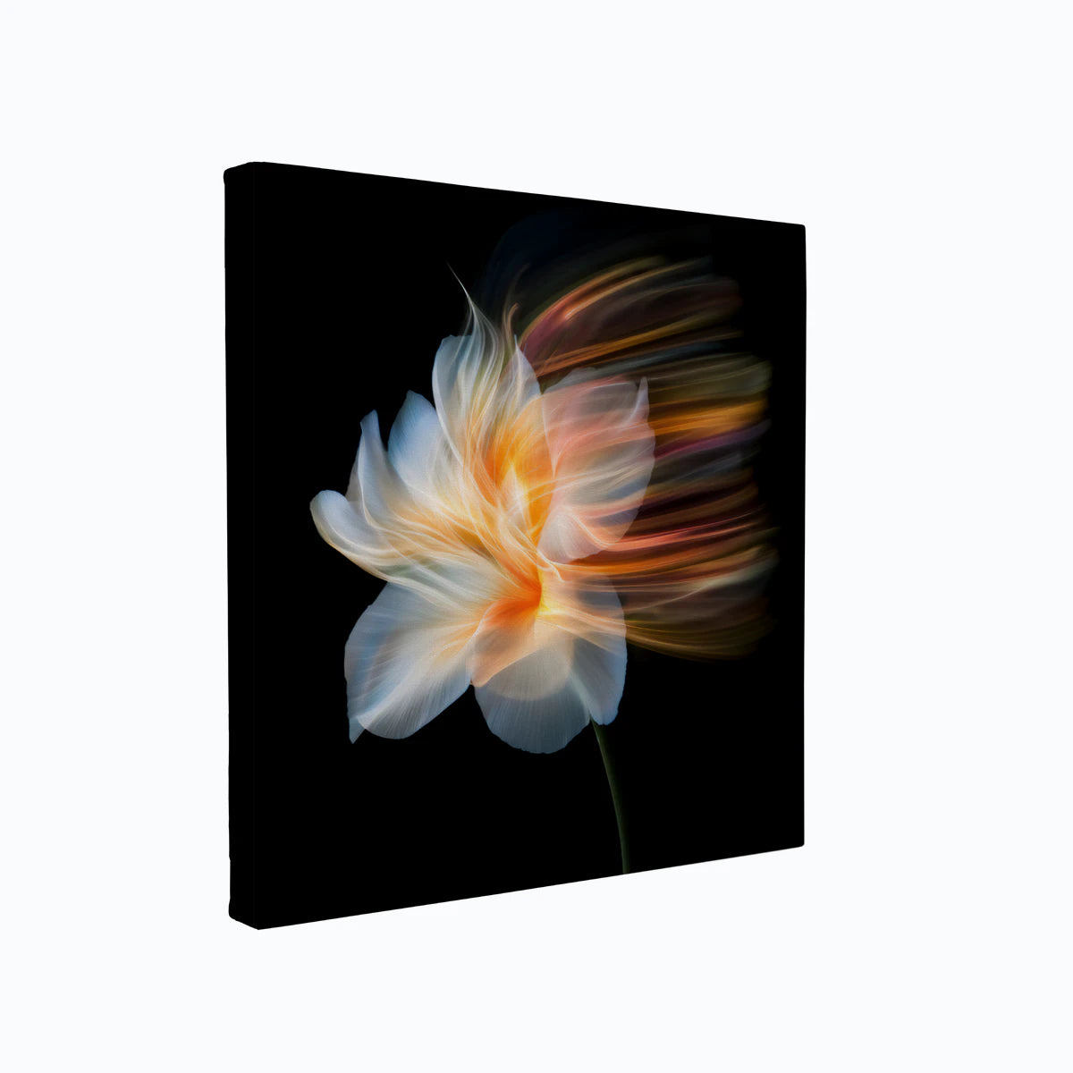 canvas-art