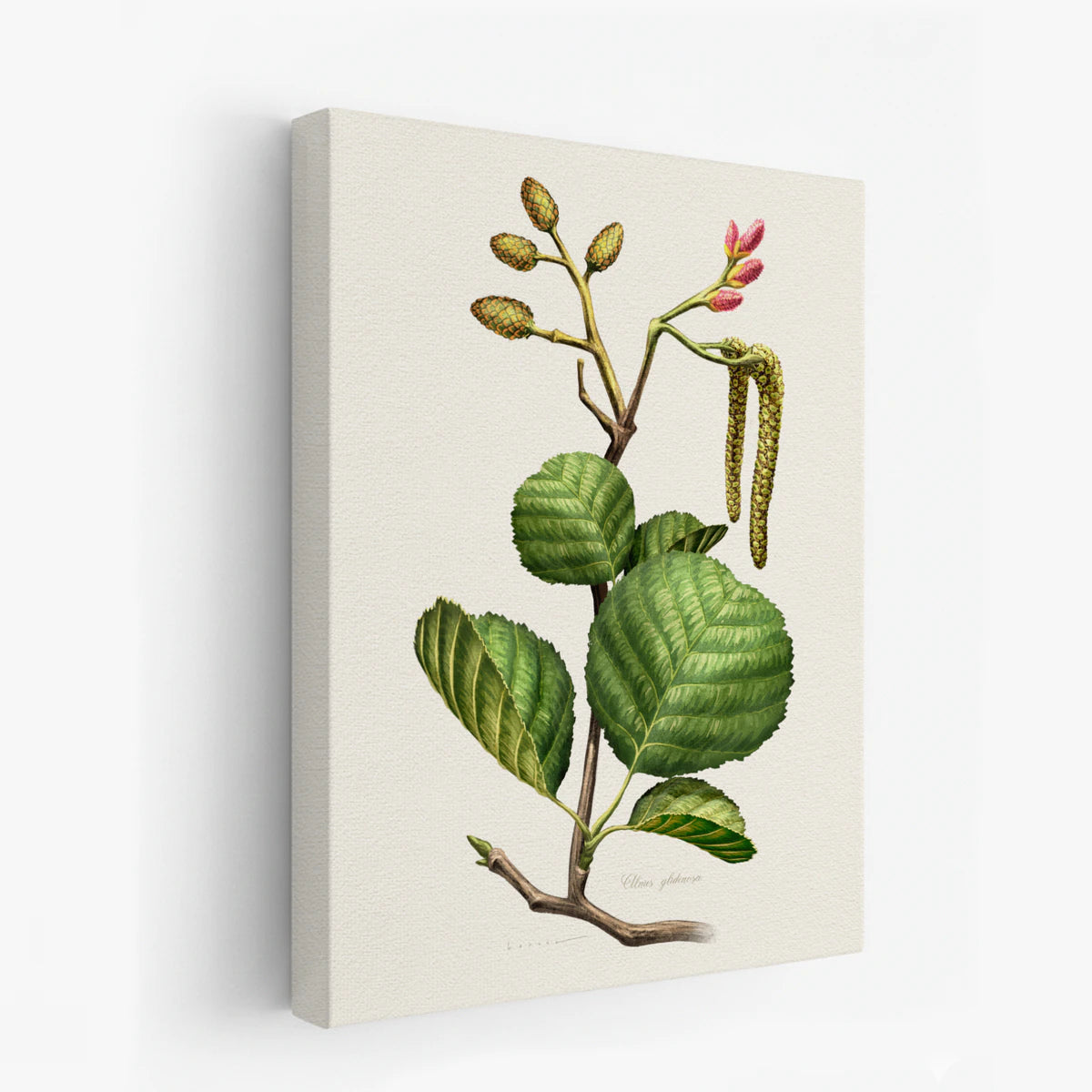 canvas-art