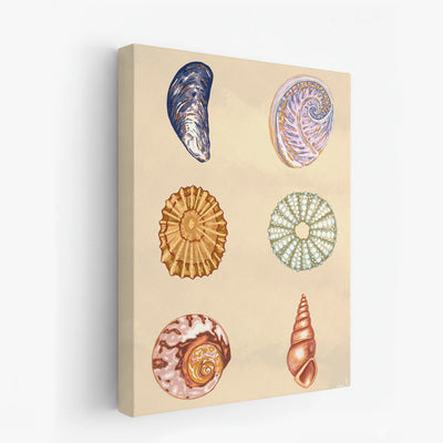canvas-art