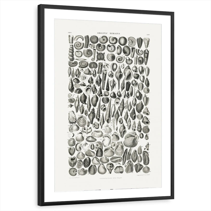 framed-print-black-matted