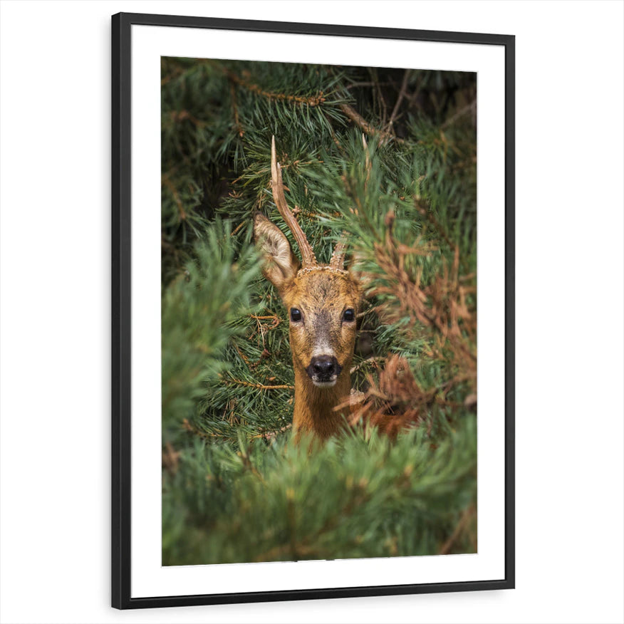 framed-print-black-matted