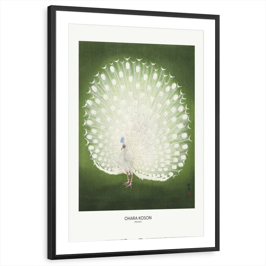 framed-print-black-matted