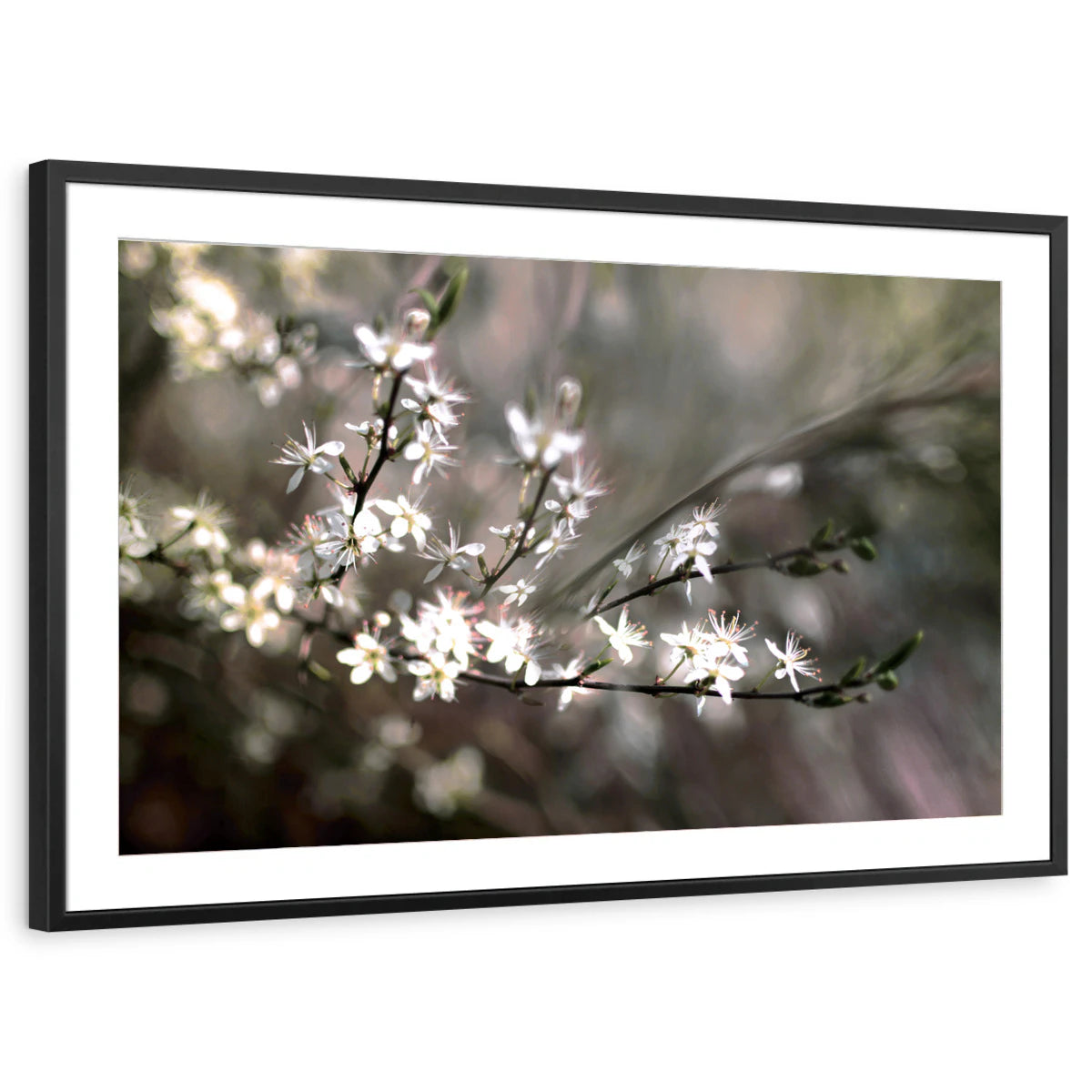 framed-print-black-matted