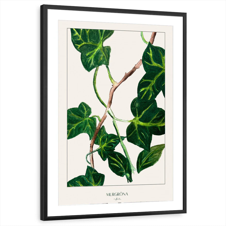 framed-print-black-matted