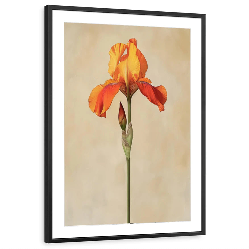 framed-print-black-matted