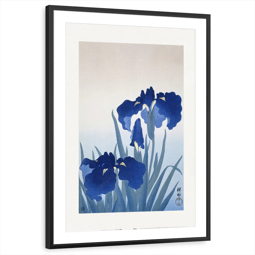 framed-print-black-matted