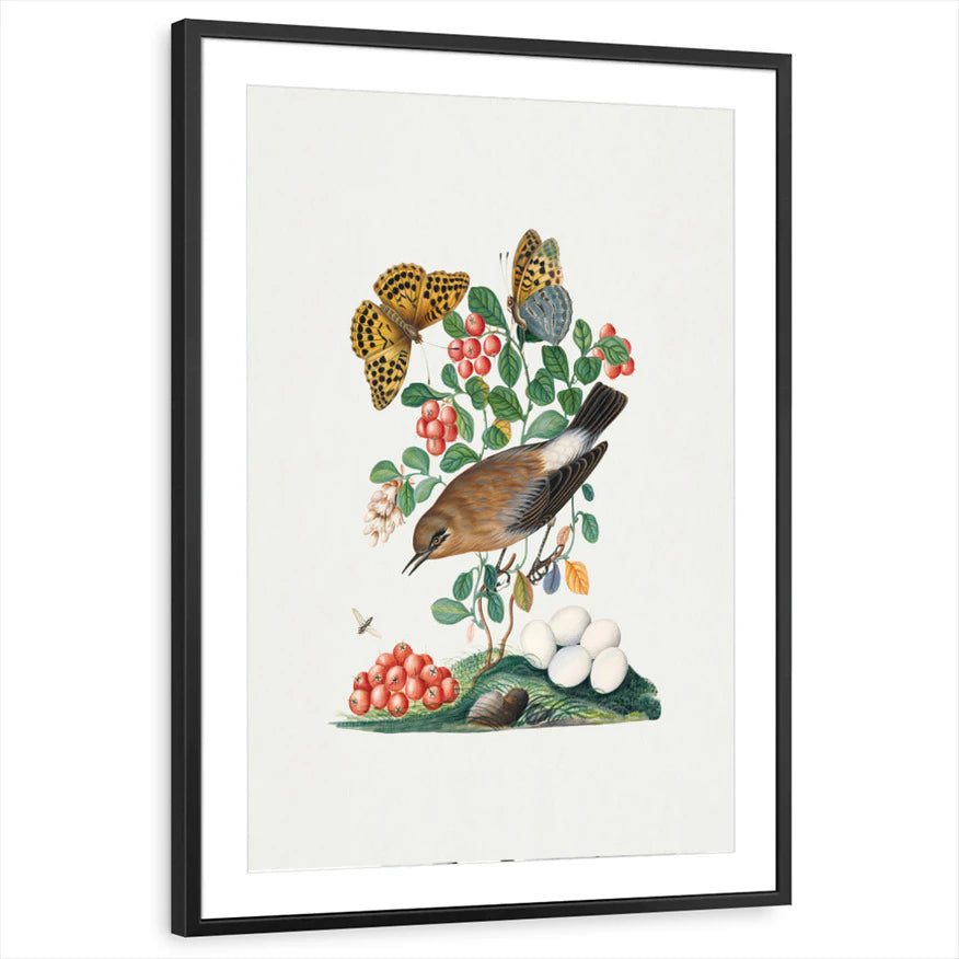 framed-print-black-matted