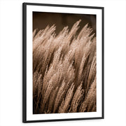 framed-print-black-matted