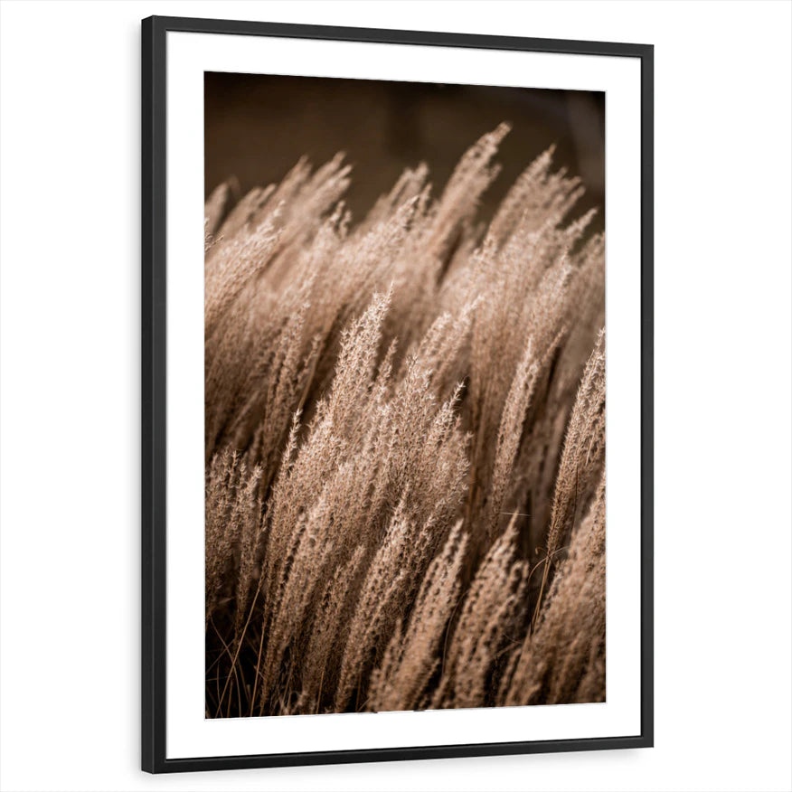 framed-print-black-matted