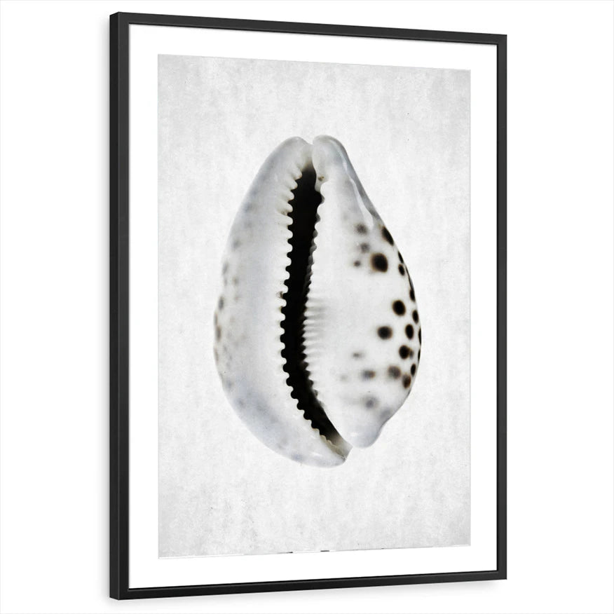 framed-print-black-matted