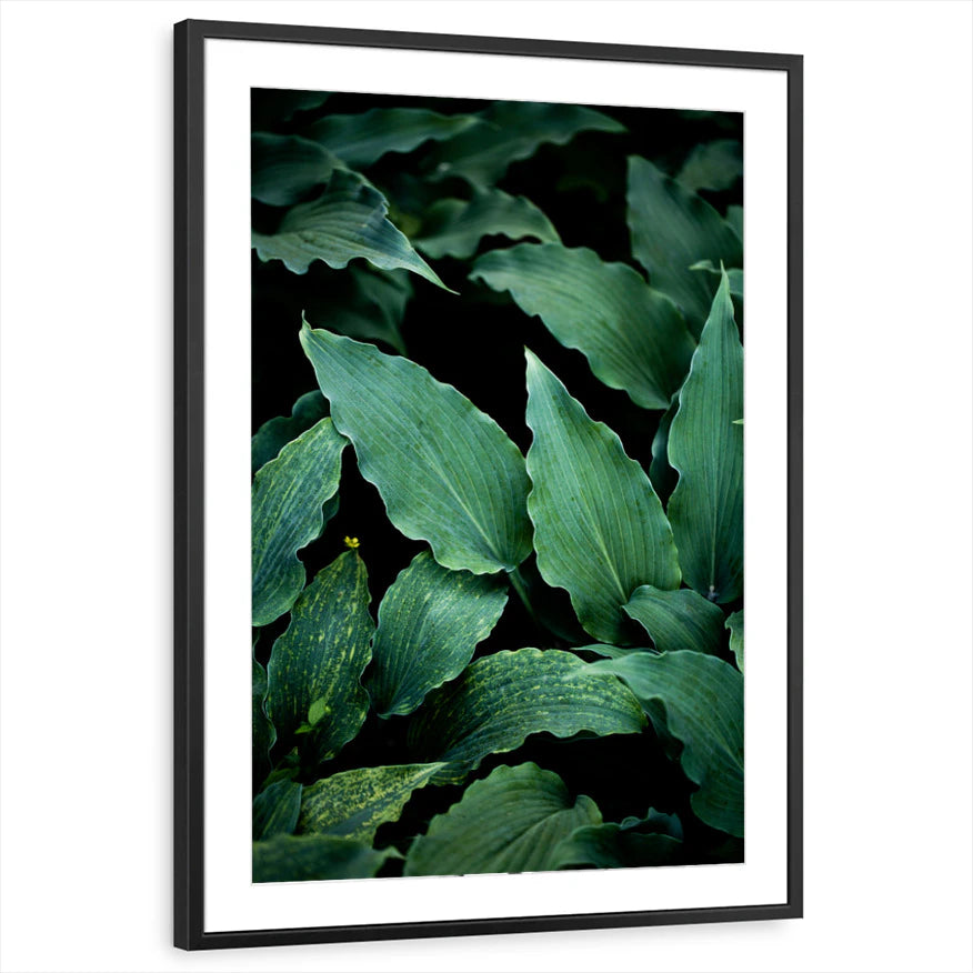 framed-print-black-matted