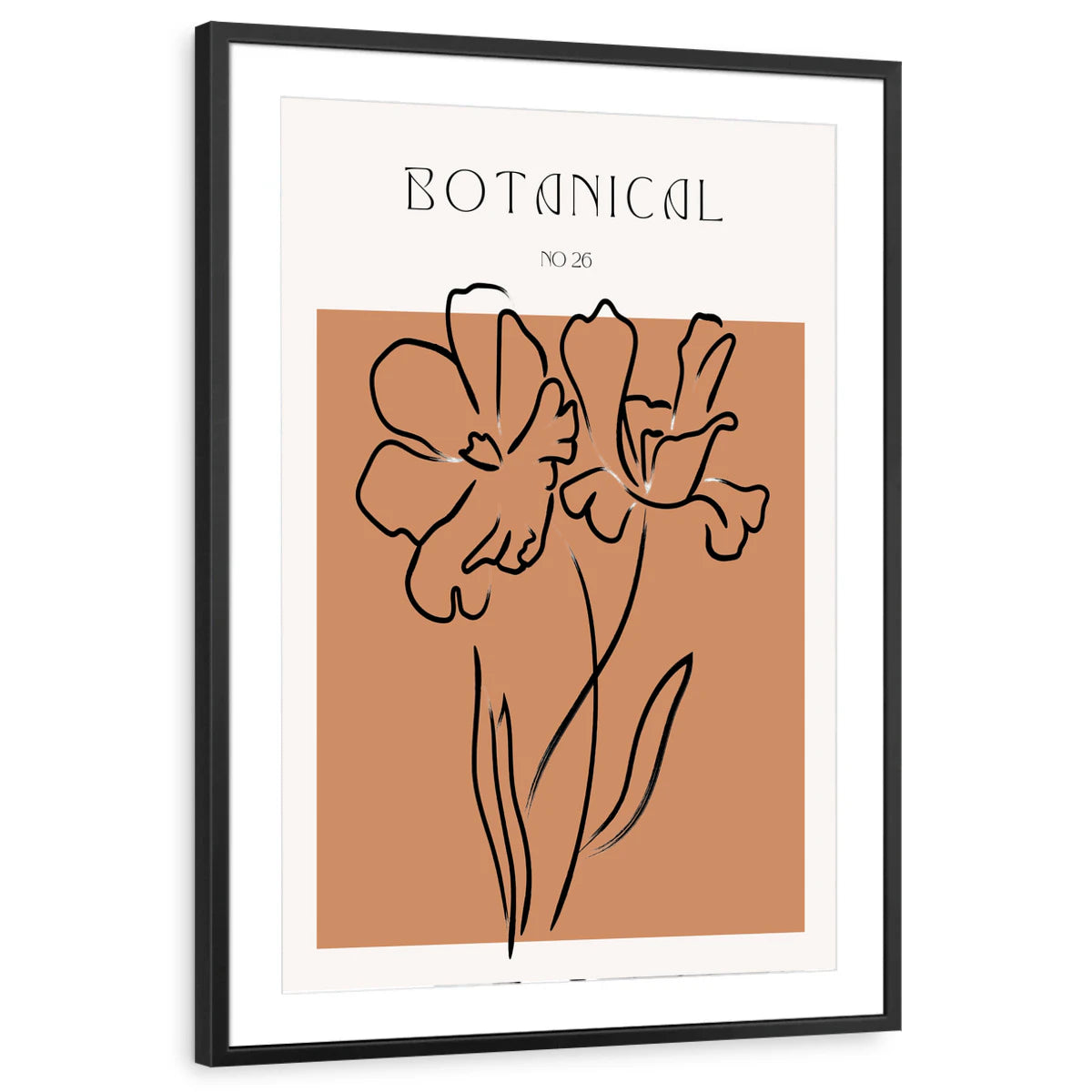 framed-print-black-matted