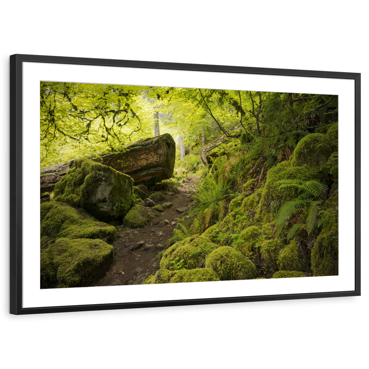 framed-print-black-matted