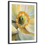 framed-print-black-matted