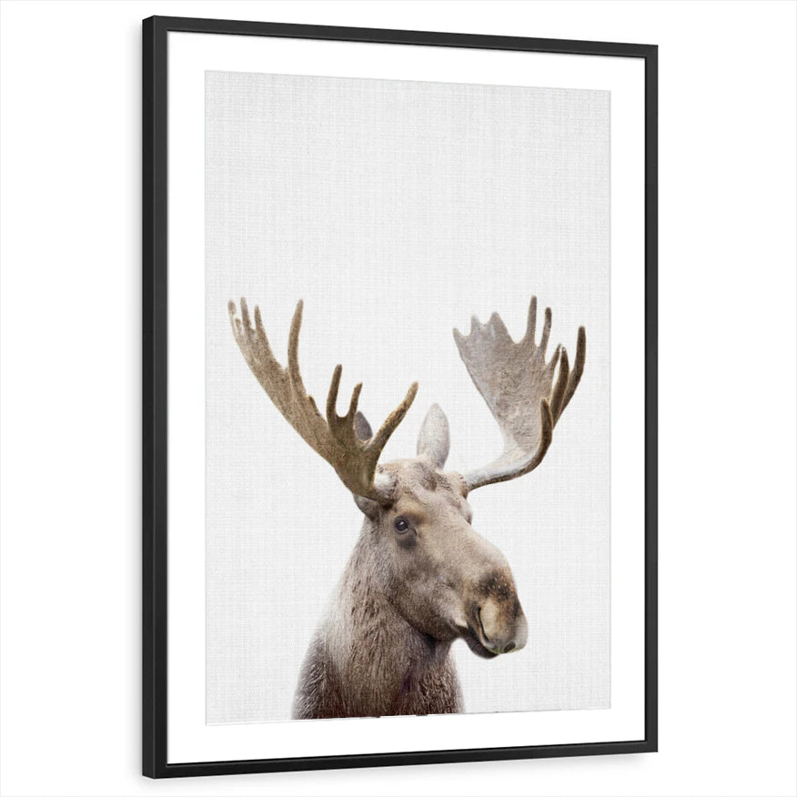 framed-print-black-matted