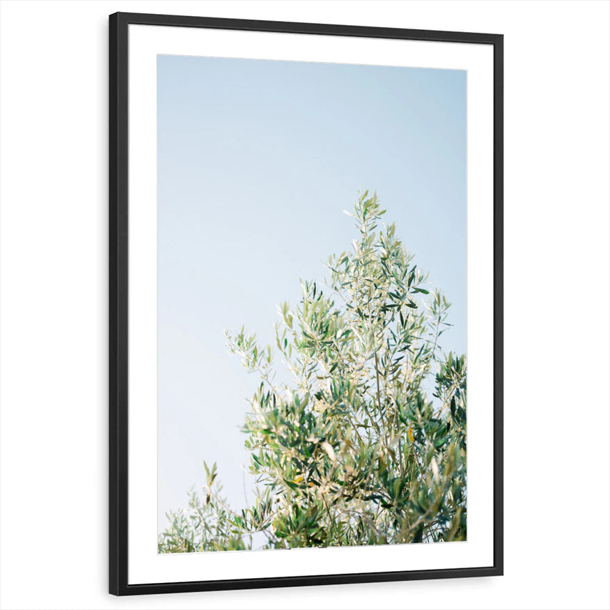 framed-print-black-matted