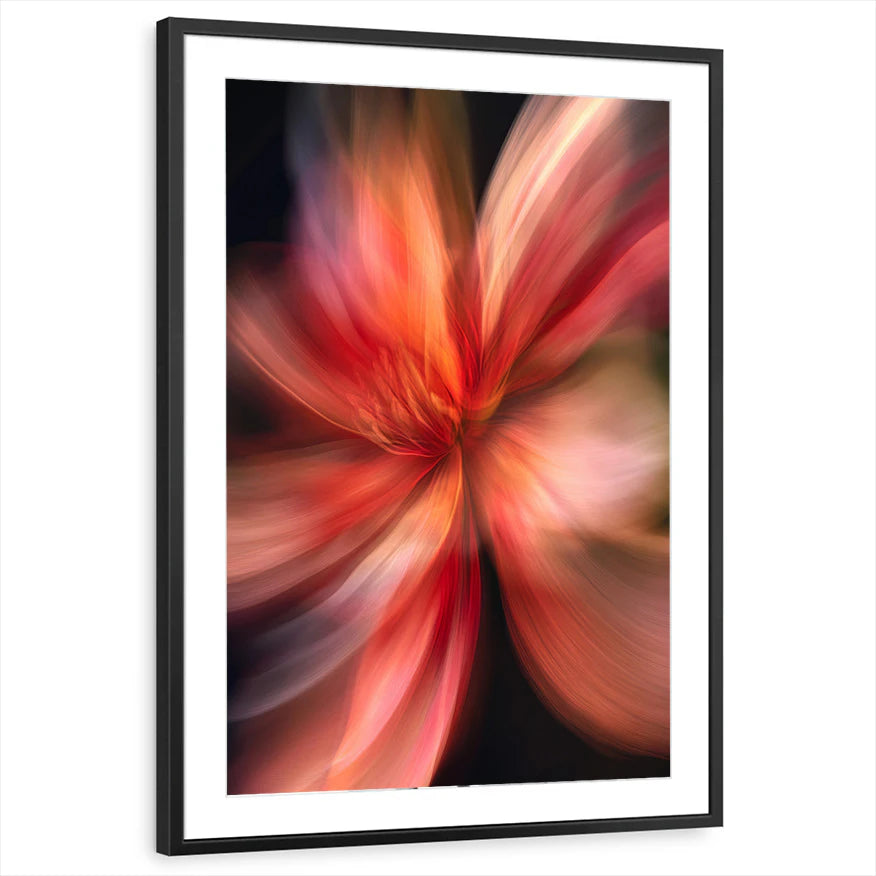 framed-print-black-matted