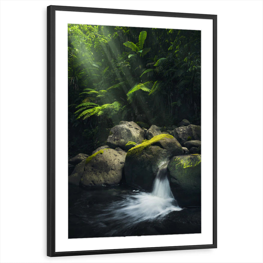 framed-print-black-matted