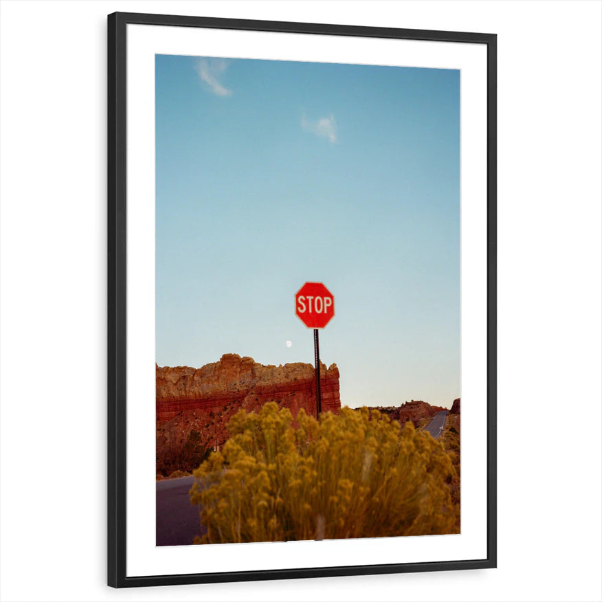 framed-print-black-matted