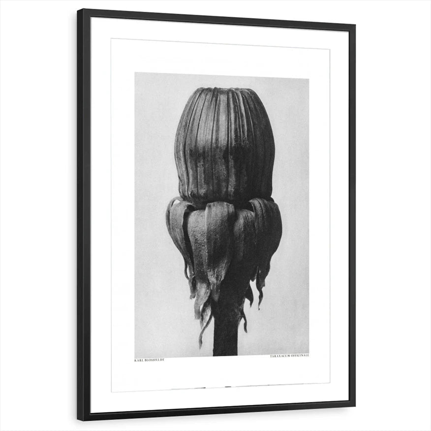 framed-print-black-matted