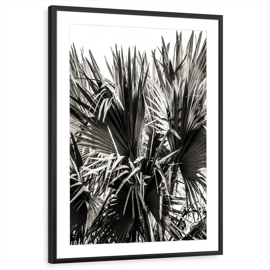 framed-print-black-matted