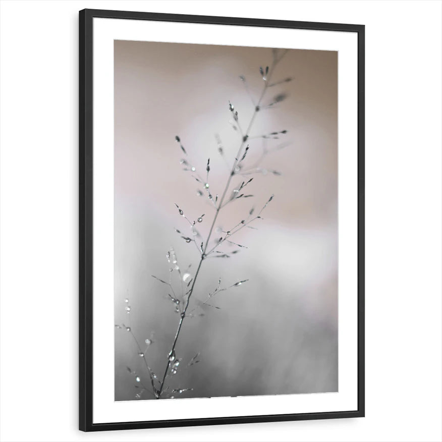 framed-print-black-matted